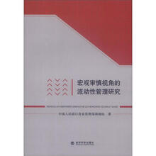 宏观审慎视角的流动性管理研究