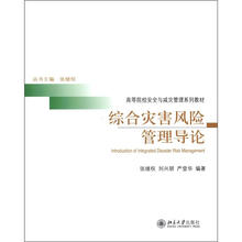 高等院校安全与减灾管理系列教材：综合灾害风险管理导论
