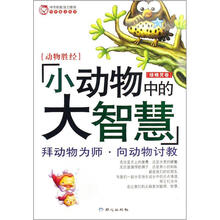 小动物中的大智慧：绿精灵卷