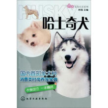宠尚生活系列：哈士奇犬