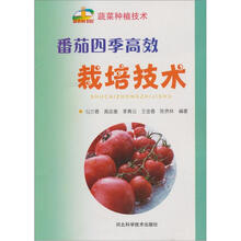 番茄四季高效栽培技术
