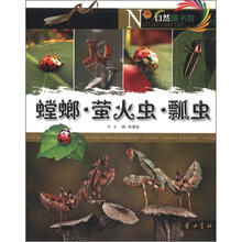 自然图书馆：螳螂·萤火虫·瓢虫