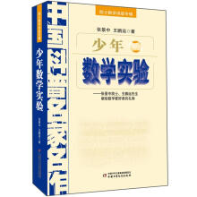 中国科普名家名作·少年数学实验：张景中院士王鹏远先生献给数学爱好者的礼物