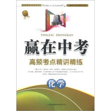 赢在中考·高频考点精讲精练:化学(2013新版)