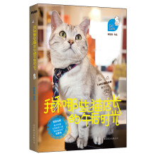 我和那些猫店长的午后时光