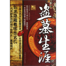 盗墓生涯