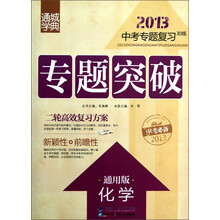 通城学典·2013中考专题复习30练·专题突破:化学(通用版)