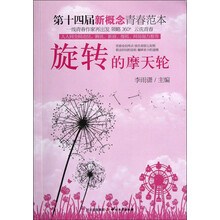 旋转的摩天轮