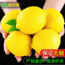 维记四川安岳黄柠檬鲜果一级大果当季新鲜水果皮薄好果泡水小柠檬 大果5斤装 [实惠果]