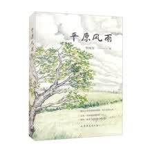 平原风雨