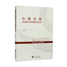 小微企业动态能力形成路径研究
