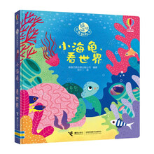 小海龟，看世界/躲猫猫故事翻翻书