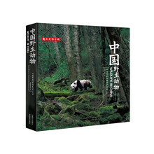 中国野生动物