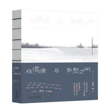 在流浪与乡愁之间