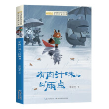 全国优秀儿童文学奖获奖作家书系——有肉汁味儿的雨点