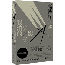 我消失的影子(李敬泽、阎连科、双雪涛推荐,蒋峰作序!从时代缺口直抵人心,挖掘灵魂的复杂和多样。)