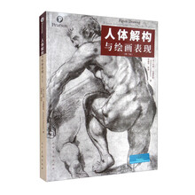 人体解构与绘画表现 第七版