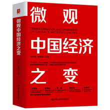 微观中国经济之变