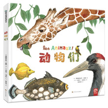 动物们
