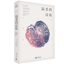 温柔的良夜：生命的最后时刻