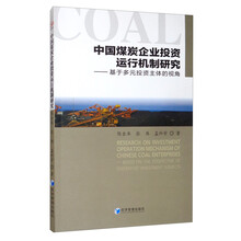中国煤炭企业投资运行机制研究——基于多元投资主体的视角
