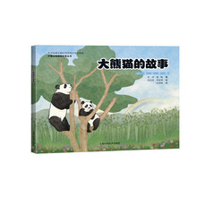 大熊猫的故事