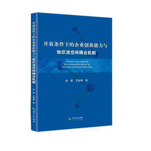 开放条件下的企业创新能力与知识流空间耦合机制