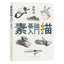 素描基础入门 静物篇