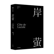 岸萤 陈传兴 著 中信出版社