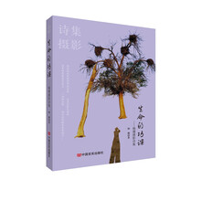 生命的功课——杨珊摄影诗集