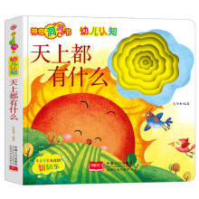 神奇洞洞书-幼儿认知系列：天上都有什么/幼儿启蒙探索认知关键期翻翻乐精装手绘纸板书