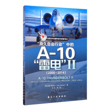 “持久自由行动”中的A-10“雷电”II （2008—2014）