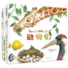 动物们+鸟儿们（套装共2册）鹦鹉螺系列