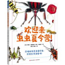 欢迎来虫虫夏令营！