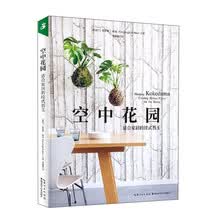 空中花园:适合家居的挂式苔玉