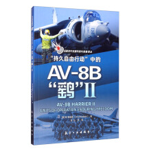 “持久自由行动”中的AV-8B“鹞”II