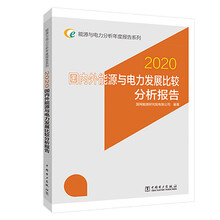 能源与电力分析年度报告系列 2020  国内外能源与电力发展比较分析报告
