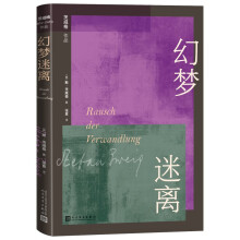 幻梦迷离