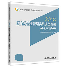 能源与电力分析年度报告系列 2018 国内外企业管理实践典型案例分析报告
