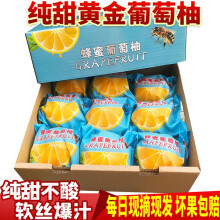 拉尔庄园福建平和黄金葡萄柚 台湾品种甜柚黄肉西柚 鸡尾柚 当季新鲜水果 5斤（3-6个）