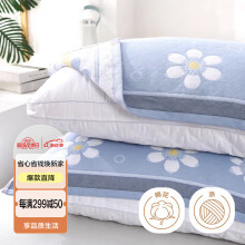 艾薇（AVIVI）枕巾一对儿童加大三层夹棉枕芯枕头巾  小花蓝 50*80cm