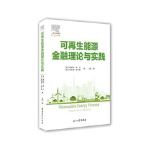 可再生能源金融理论与实践