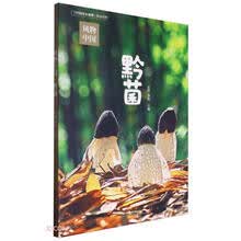 黔菌/风物中国