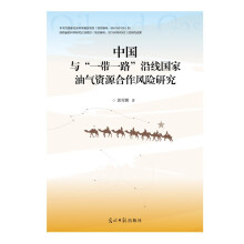 中国与“一带一路”沿线国家油气资源合作风险研究