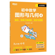 新东方 高效训练：初中数学 图形与几何4九年级+中考 中考数学单项练习题