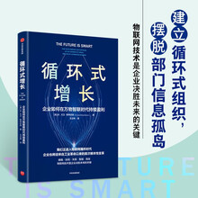 循环式增长 W.大卫·斯蒂芬森 著 物联网技术实现持续增长 中信出版社