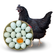 香丹青 绿壳乌鸡蛋 新鲜农家散养土鸡蛋正宗五谷黑鸡 30枚