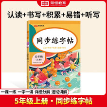 五年级上册字帖 语文同步练字帖课本配套生字描红本