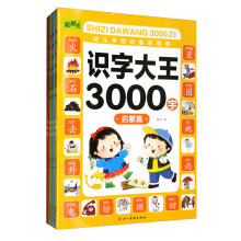 识字大王3000字全套4册幼小衔接学前识字书幼儿园中班大班教育启蒙认字图书3-4-5-6岁幼儿学