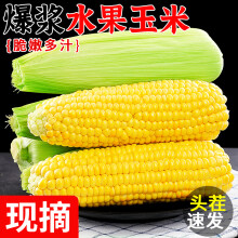 鲜福林新鲜玉米新鲜云南水果玉米应当季脆甜玉米生鲜蔬菜 精选 3斤